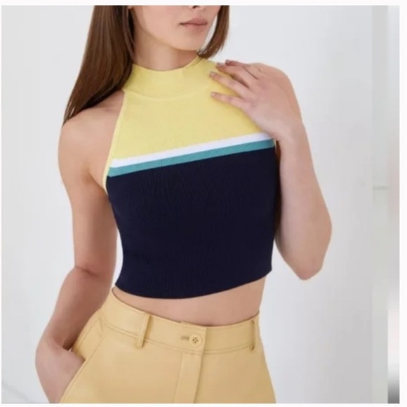 Babaton Tops - Babaton Sculpt Knit Sleeveless Mock
Neck Cropped Top Sz Small